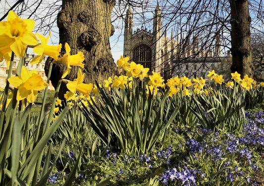 A Taste of Home: Unveiling the Exclusively Cambridge Gift Box